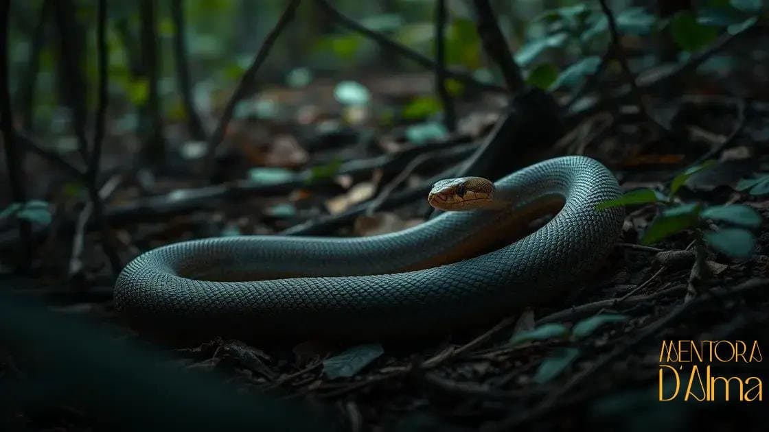 Sonhar com cobra: o que esse símbolo revela sobre seus sentimentos e medos Sonhar com cobra: o que esse símbolo revela sobre seus sentimentos e medos