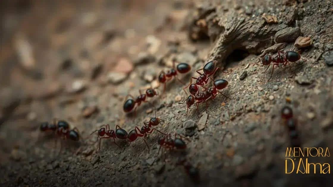 Sonhar com formiga: descubra o que esse sonho pode revelar sobre você Sonhar com formiga: descubra o que esse sonho pode revelar sobre você