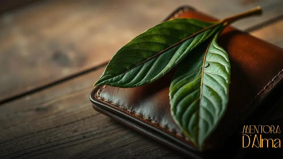 Folha de louro na carteira: curiosidades e possíveis benefícios para você Folha de louro na carteira: curiosidades e possíveis benefícios para você