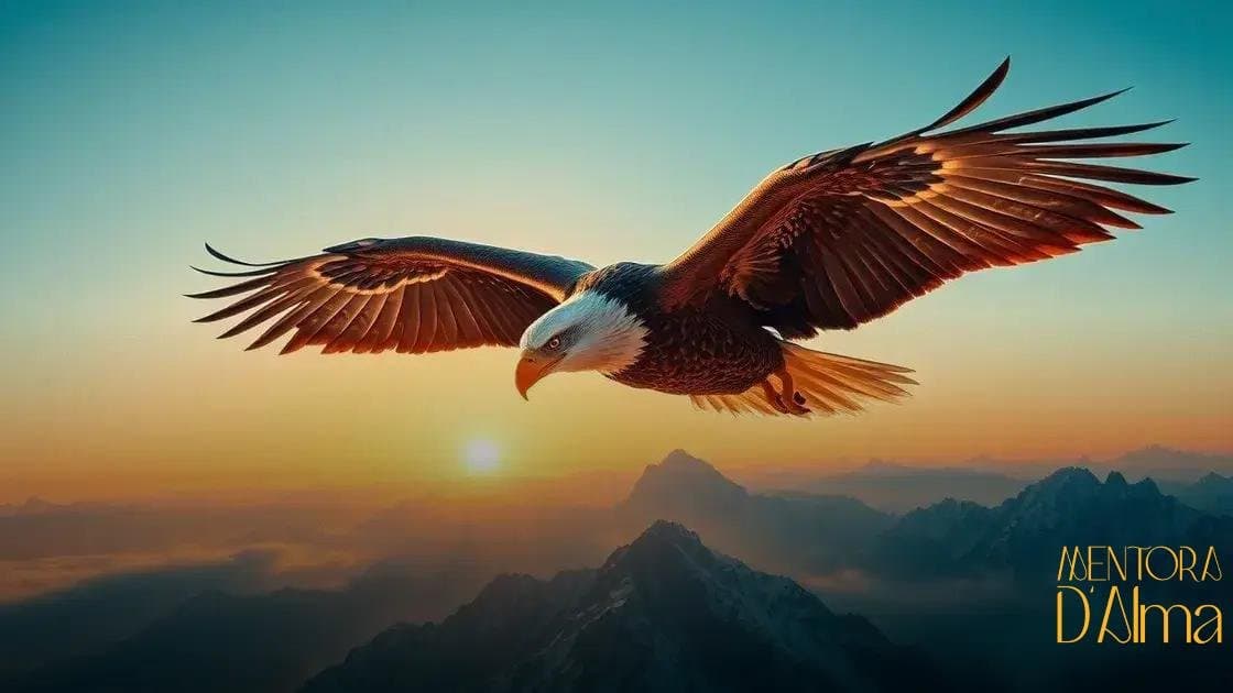 Significado de sonhar com águia: descubra o que esse símbolo revela Significado de sonhar com águia: descubra o que esse símbolo revela