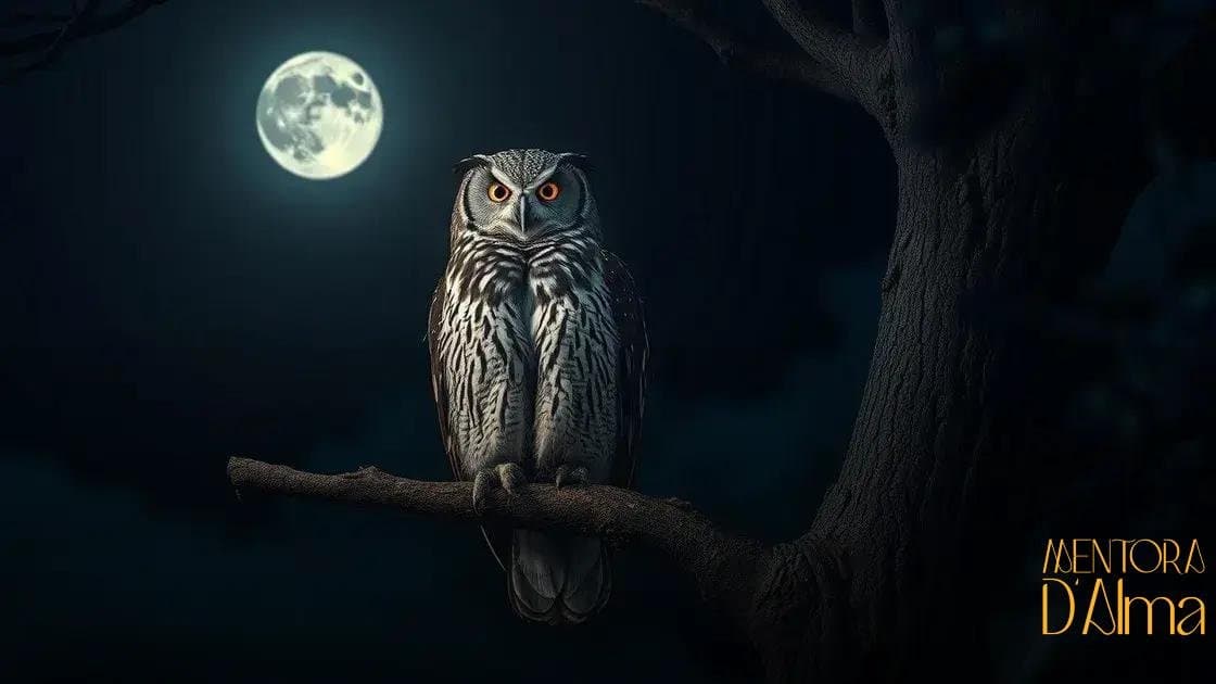 Significado de sonhar com coruja: descubra o que esse sonho revela para você Significado de sonhar com coruja: descubra o que esse sonho revela para você