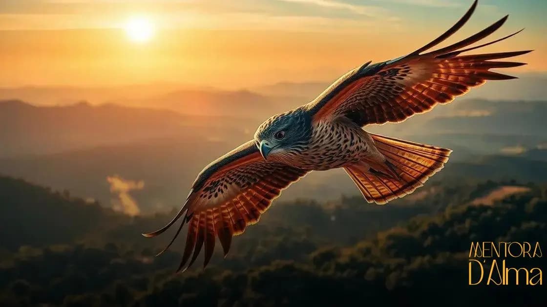 Significado de sonhar com falcão: o que essa visão pode revelar para você Significado de sonhar com falcão: o que essa visão pode revelar para você