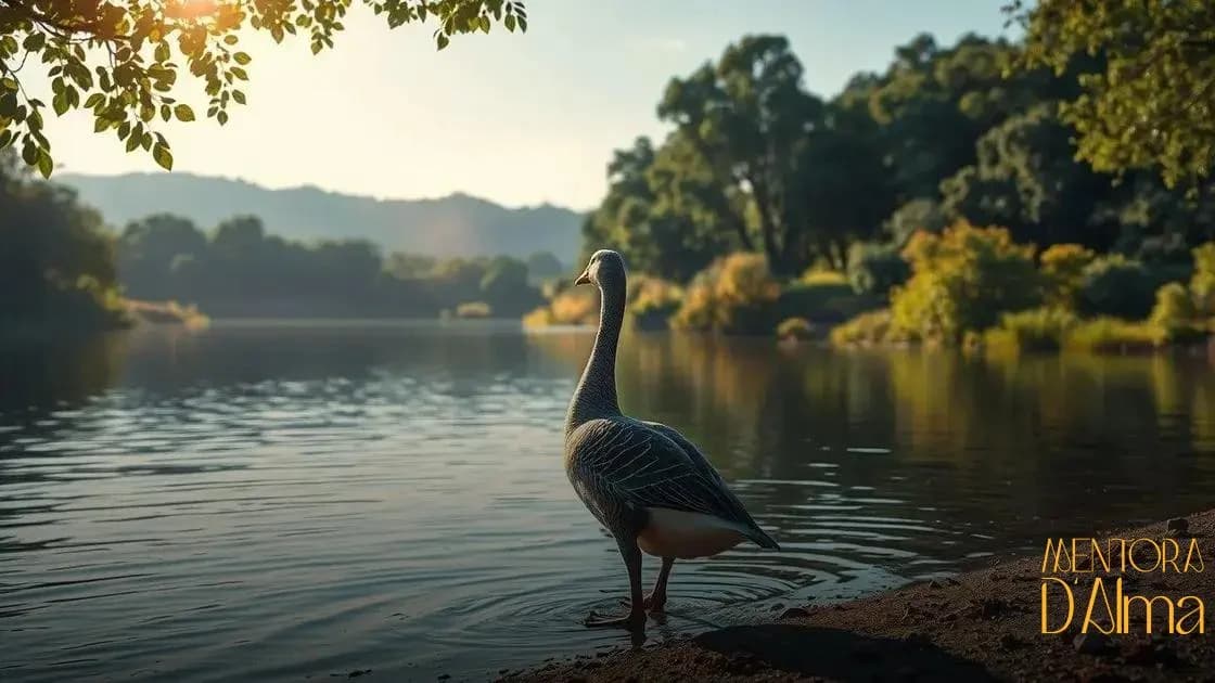 Significado de sonhar com Ganso: descubra o que esse sonho revela para você Significado de sonhar com Ganso: descubra o que esse sonho revela para você