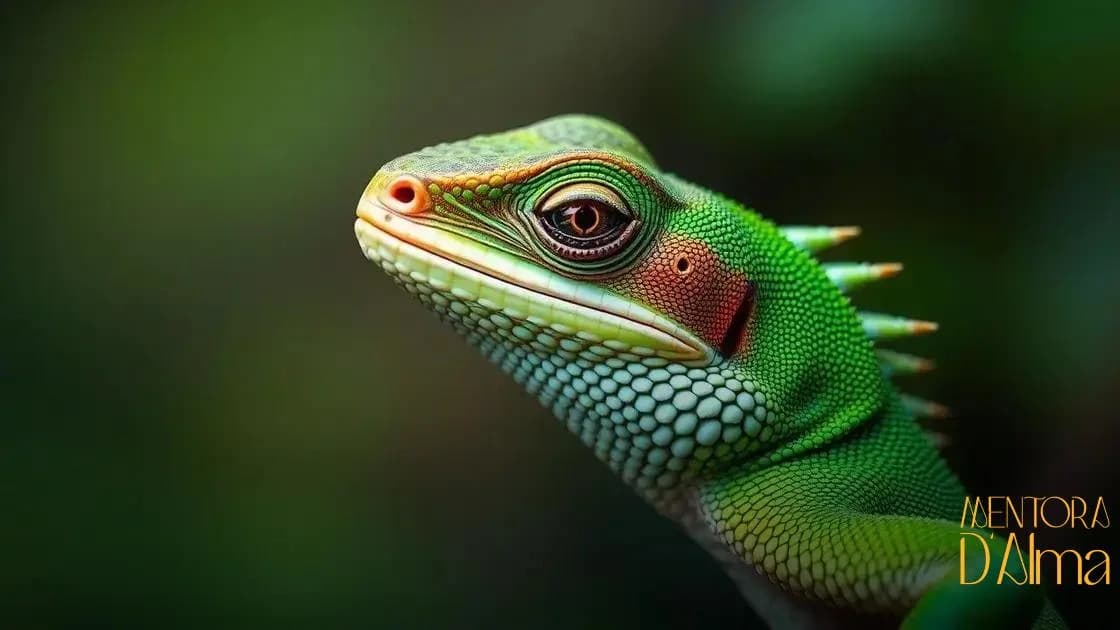 Significado de sonhar com lagarto: o que seu sonho pode estar revelando? Significado de sonhar com lagarto: o que seu sonho pode estar revelando?