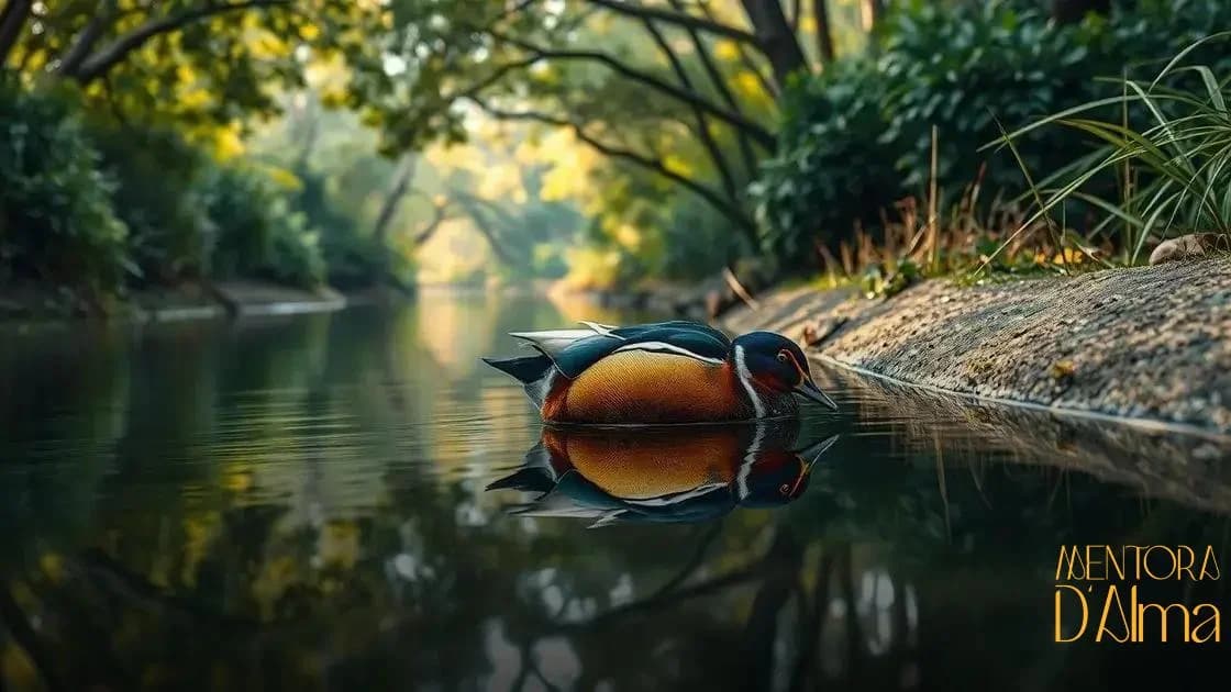 Significado de sonhar com Marreco: descubra o que seu sonho revela agora Significado de sonhar com Marreco: descubra o que seu sonho revela agora