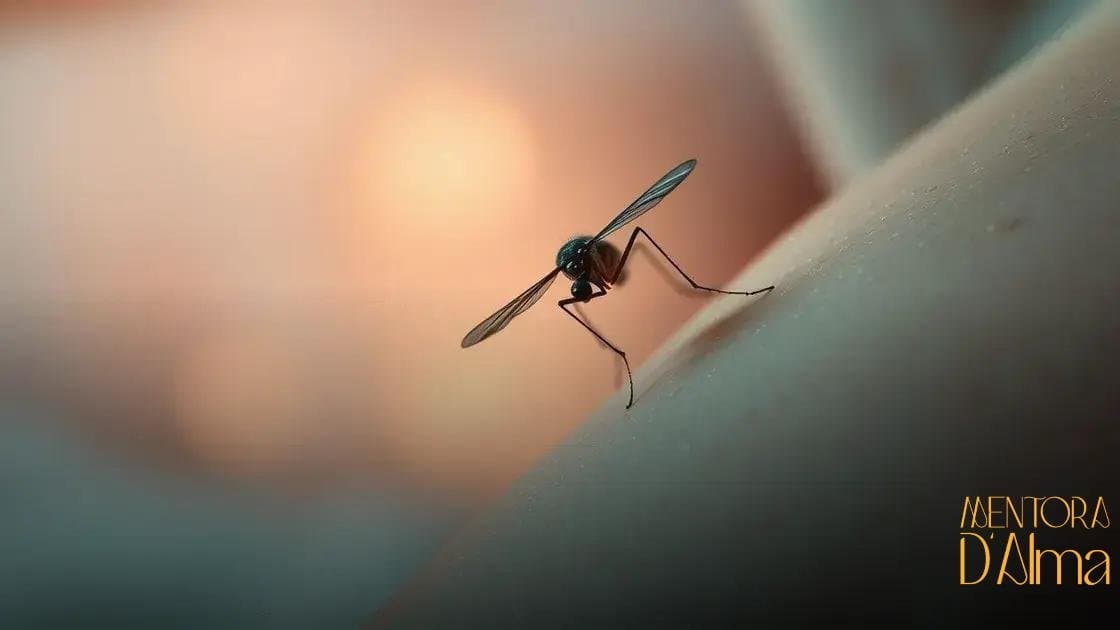 Significado de sonhar com mosquito: descubra o que seu sonho revela Significado de sonhar com mosquito: descubra o que seu sonho revela