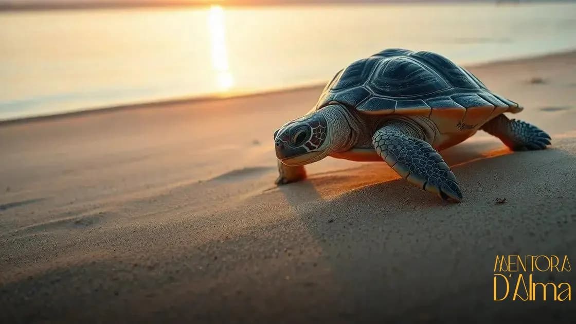 Significado de sonhar com tartaruga: descubra o que seu sonho revela sobre você Significado de sonhar com tartaruga: descubra o que seu sonho revela sobre você