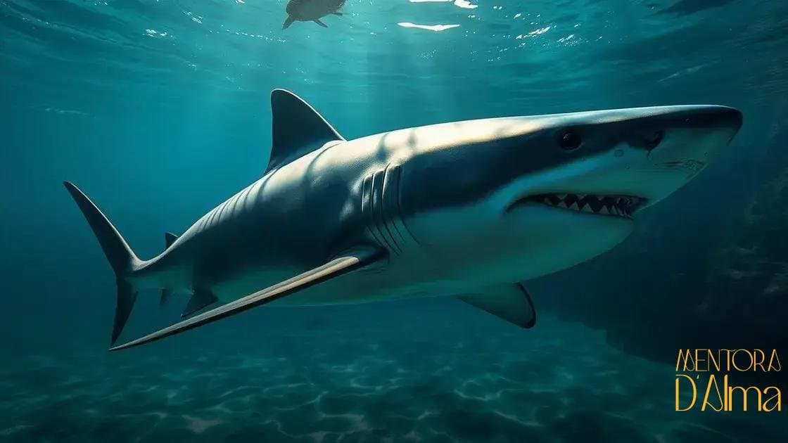 Significado de sonhar com tubarão: descubra o que esse sonho revela sobre você Significado de sonhar com tubarão: descubra o que esse sonho revela sobre você