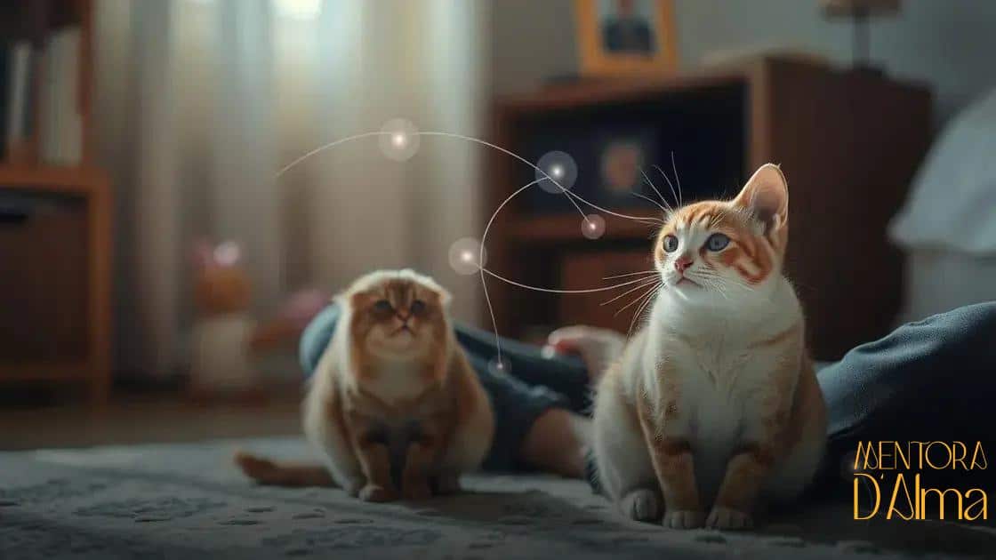a relação entre gatos e a intuição humana