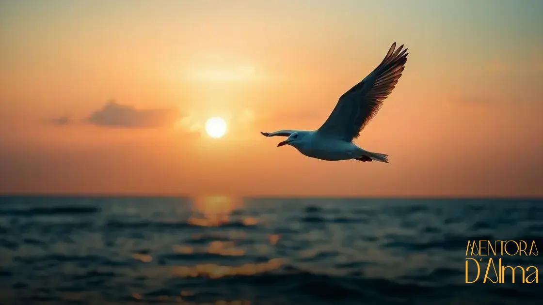Significado espiritual de gaivota: o que essa ave revela sobre sua jornada interior