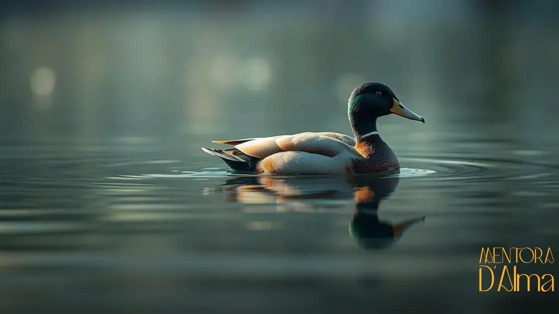 Relação entre sonhos com pato e emoções pessoais